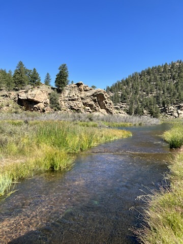 Clear river water below the cliffs of Eleven Mile Canyon