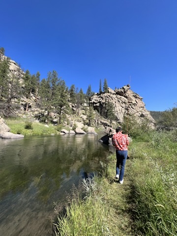 Paul fly fishing the river in Eleven Mile Canyon, back to camera